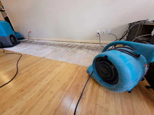 Professional Sewage Cleanup technician working in Mossyrock, WA